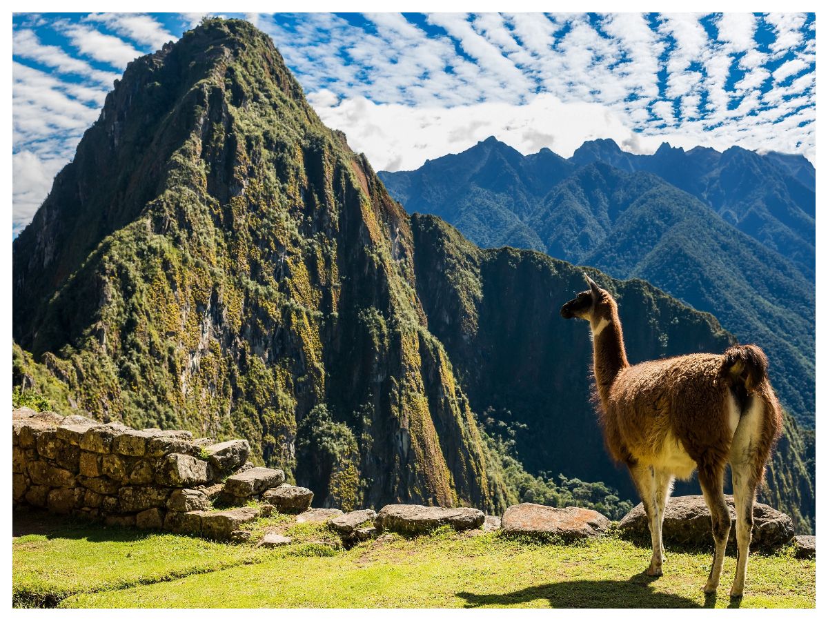 マチュピチュ | 中南米・カリブ海観光・オプショナルツアー予約専門 VELTRA