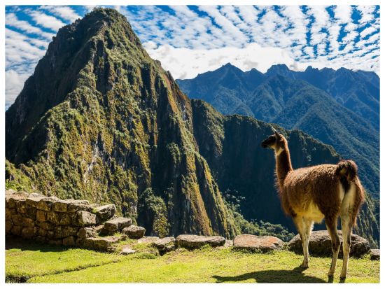 マチュピチュ日帰りツアー　昼食付きプランあり＜混載／英語／クスコ発＞