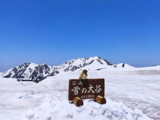 北アルプス立山雪の大谷へ行く日帰りバスツアー！ たっぷり4時間半フリータイム＜5月4日、18日／金沢発着＞