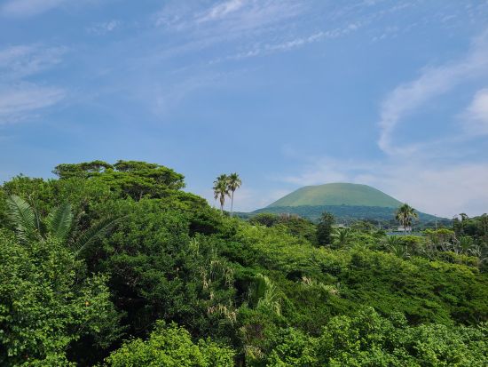 鐙瀬（あぶんぜ）海岸散策ツアー　五島列島（下五島エリア）ジオパークの認定ジオガイドが溶岩海岸の魅力や周辺の植物などを徹底解説！＜50分／福江島・五島市＞