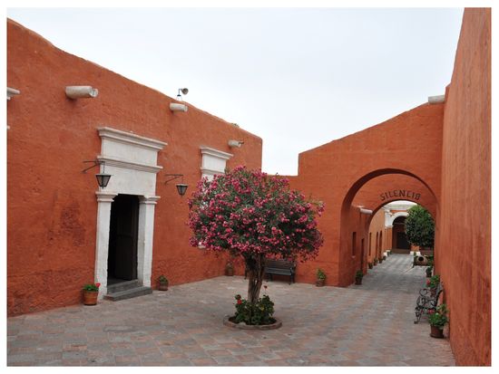 FotoJet - 2024-03-04T201145.355