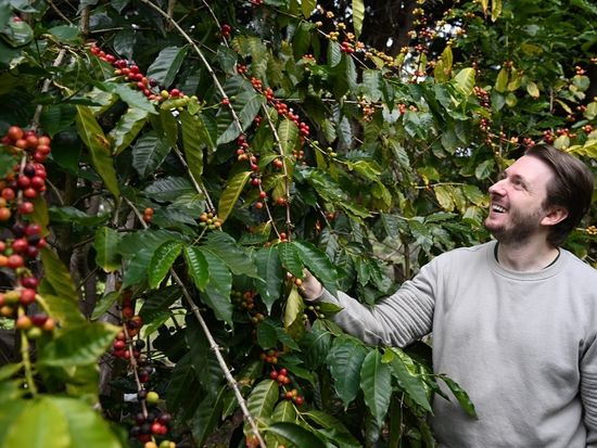 Tamborine-Mountain-Coffee-Plantation-12A