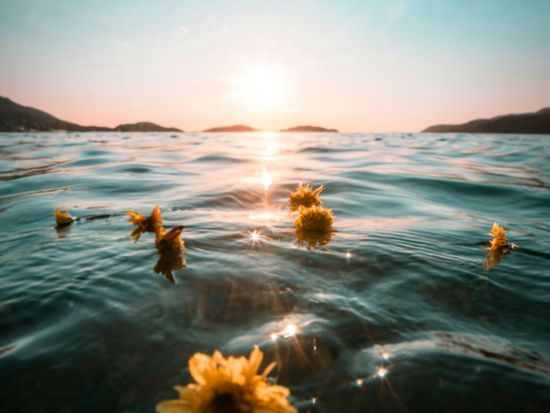 Shutterstock_2425459363(1)