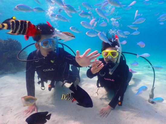 幻の島上陸＋石西礁湖体験ダイビング　1グループのみの少人数制&足の着く浅瀬での講習で安心！＜市街地送迎無料／駐車場完備／石垣島発＞byやまんぐぅ～