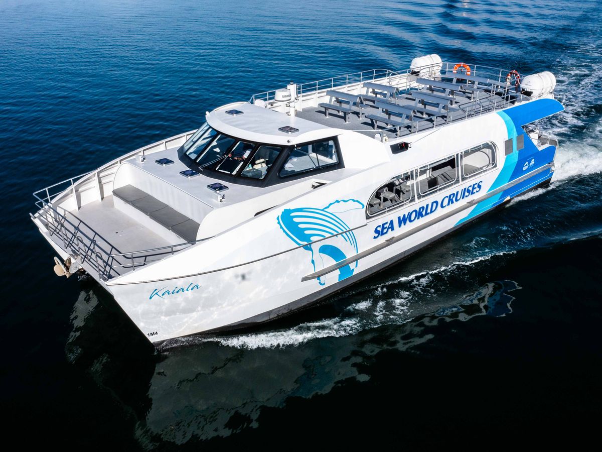 5月30日～11月1日まで限定催行】ホエールウォッチングクルーズ クジラ