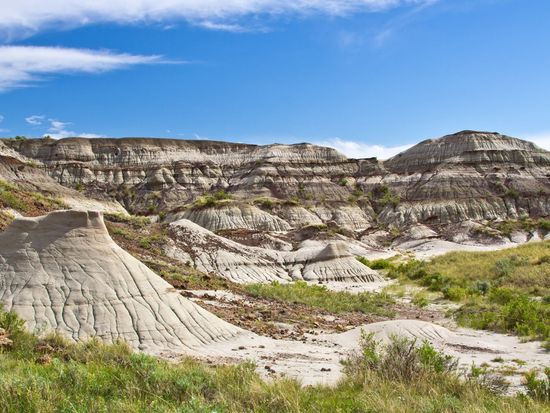 20190206005305_113039941_10186_0