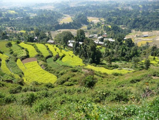 ナガルコット日の出ツアー　世界遺産チャングナラヤンの訪問とハイキングも楽しめる ＜朝食付き／英語または日本語ガイド／カトマンズ発着＞