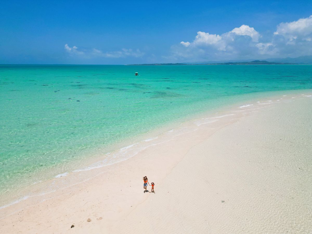 20240307082321_21019718_11994_