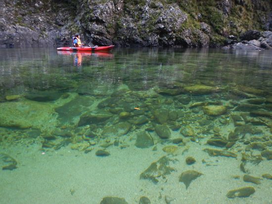 安房川リバーカヤック＆ヤクスギランドトレッキング 屋久島公認ガイドきまたガイドがご案内 <宮之浦～安房～尾之間送迎可能／1名参加可能＞ by 屋久島らんぶりん