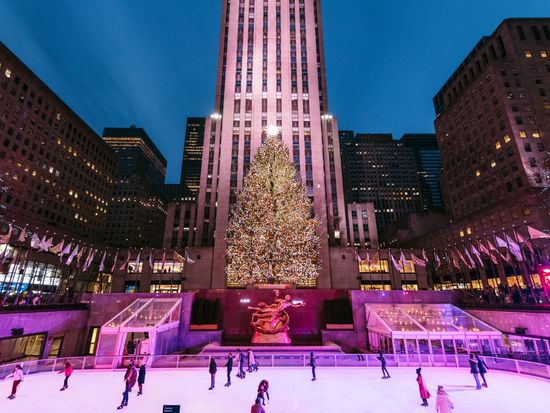 The Rink - Night - Tree #2