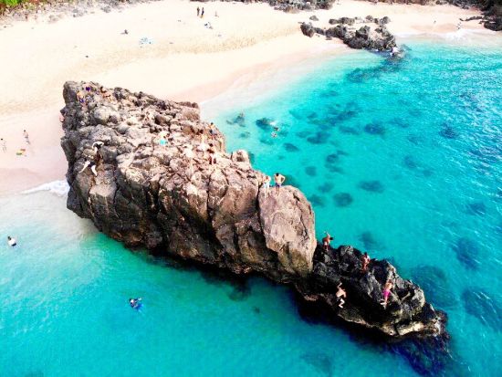 オアフ島1日観光　約16カ所の人気スポットを効率良くご案内！タートルビーチやマカプウ展望台、ドール・プランテーション、マカダミアナッツファームなど＜英語ガイド＞