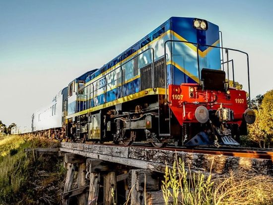 観光列車Qトレインで行く美食の旅！絶景と共に楽しむ食事と贅沢なひととき 市内送迎プランあり＜3時間／食事付／ドライズデール駅発着＞