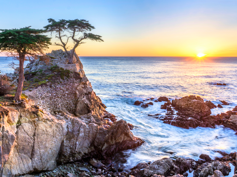 カリフォルニア モントレー ツイストネック ミラーフィニッシュ 極美品 カリフォルニア モントレー ツイストネック ミラーフィニッシュ 極美品