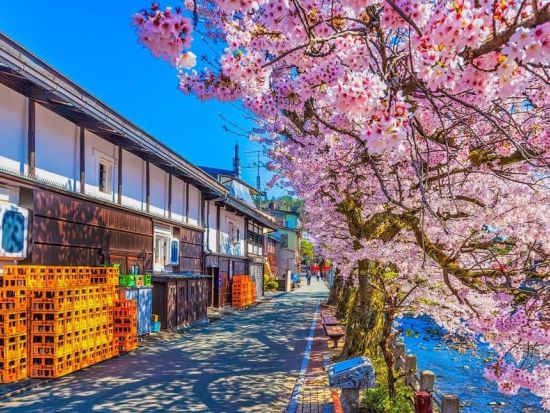 英語・中国語・日本語バスツアー歴史と伝統を旅する 郡上八幡 飛騨高山 白川郷 3古都巡り＜名古屋発／1名様から出発／毎日催行＞