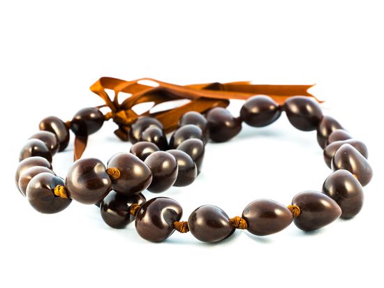 Shutterstock_223224295(1)