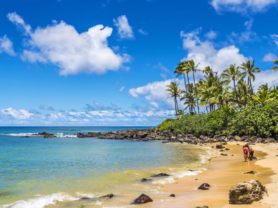 shutterstock_579227737 (1)