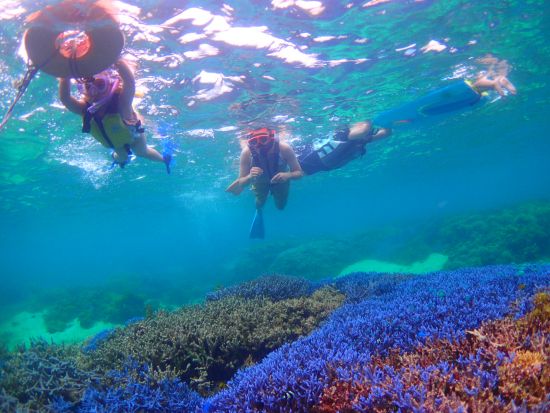 【少人数制】幻の島上陸+石西礁湖シュノーケリングツアー 離島の海を満喫できる1日プランもあり＜市街地送迎／石垣島発＞