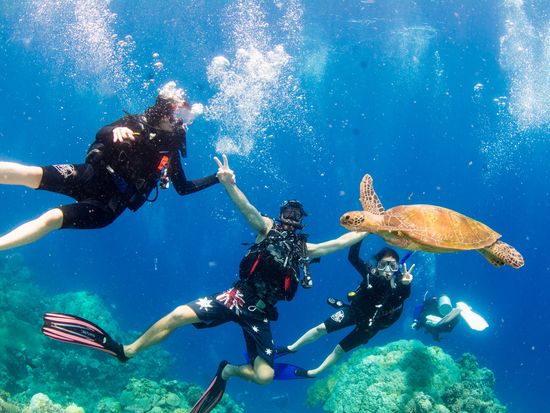 Divers Den Discover Scuba (9 of 14)