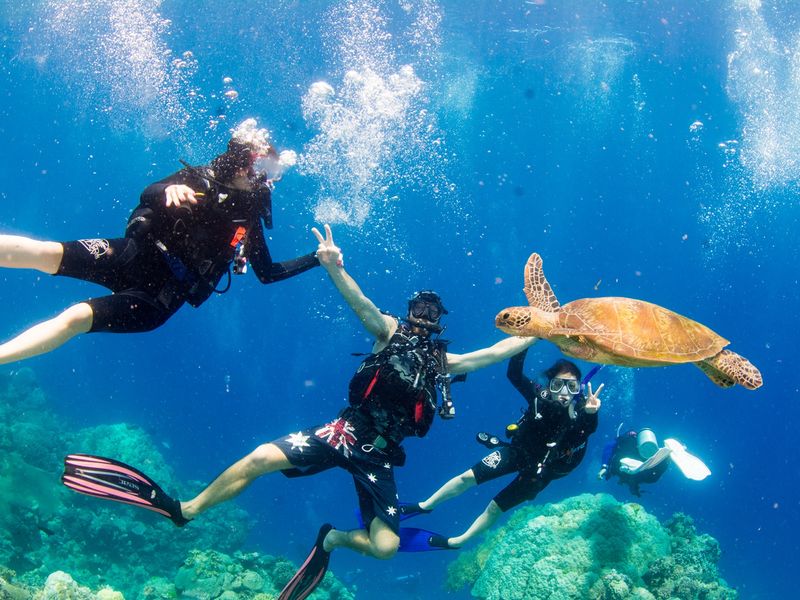 Divers Den Discover Scuba (9 of 14)