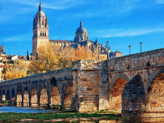 専用車で行く世界遺産サラマンカ1日観光　スペイン最古の大学と美しい旧市街を自由に街歩き　便利な特製観光マップ付＜貸切／英語ドライバー／マドリード発＞