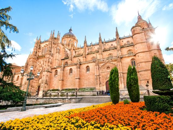 専用車で行く世界遺産サラマンカ1日観光　スペイン最古の大学と美しい旧市街を自由に街歩き　便利な特製観光マップ付＜貸切／英語ドライバー／マドリード発＞