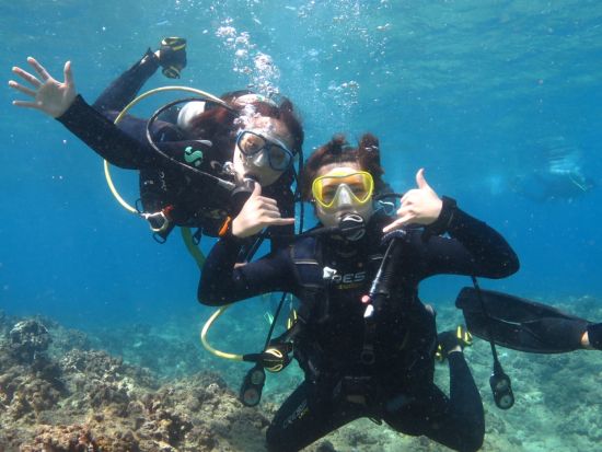 体験ダイビング　ダイヤモンドヘッド近くのカイマナビーチやワイキキ沖のウミガメポイントでダイブ！＜ビーチまたはボート／1～2ダイブ／日本語＞by ブリーズハワイ