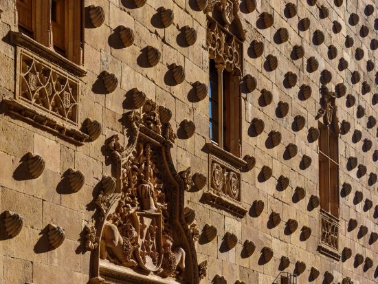 専用車で行く世界遺産サラマンカ1日観光　スペイン最古の大学と美しい旧市街を自由に街歩き　便利な特製観光マップ付＜貸切／英語ドライバー／マドリード発＞