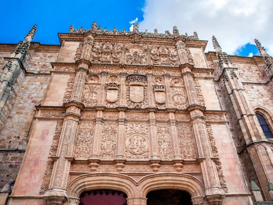 専用車で行く世界遺産サラマンカ1日観光　スペイン最古の大学と美しい旧市街を自由に街歩き　便利な特製観光マップ付＜貸切／英語ドライバー／マドリード発＞