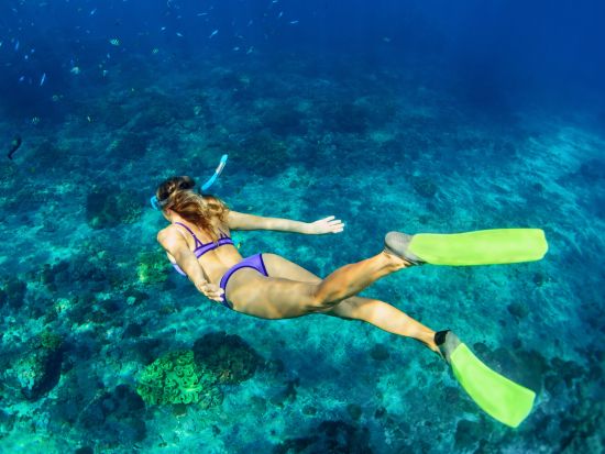 カタマラン船で行く！フヴァル島＆パクレニ諸島＆ブラチ島 1日クルーズ＜5月～10月／昼食付／スプリット発＞