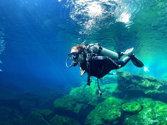 セノーテ体験ダイビング＋トゥルム遺跡 or プラヤ・デル・カルメン散策＜貸切／昼食／日本人インストラクター／1ダイブ／カンクン発＞by クイーンエンジェル