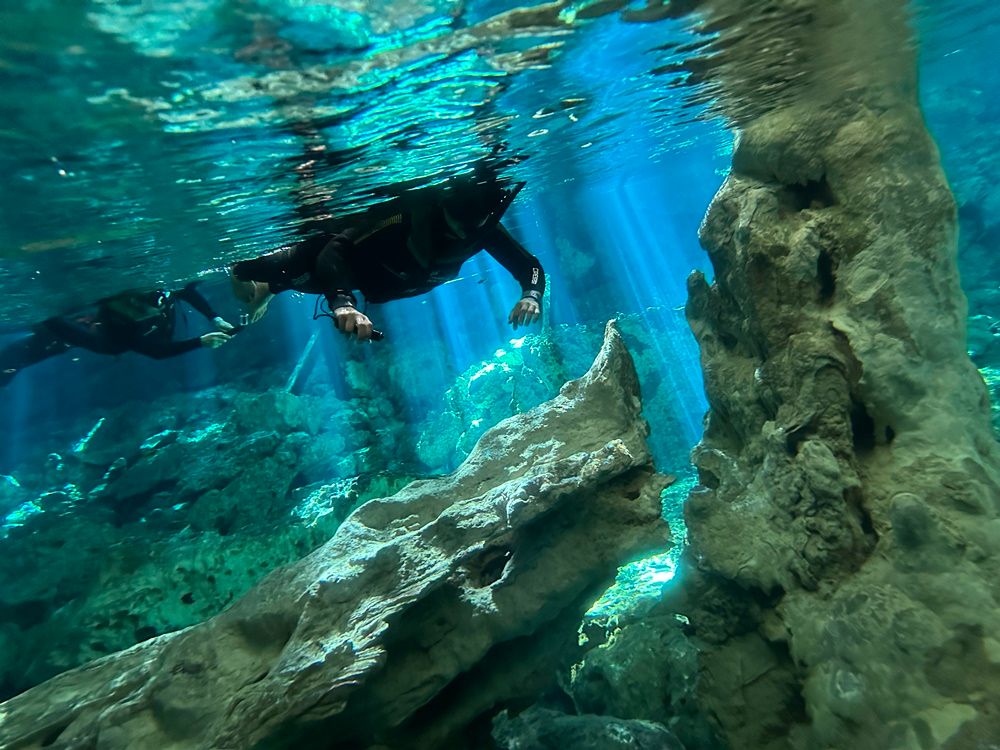 クイーンエンジェル | カンクン 観光・オプショナルツアー専門予約