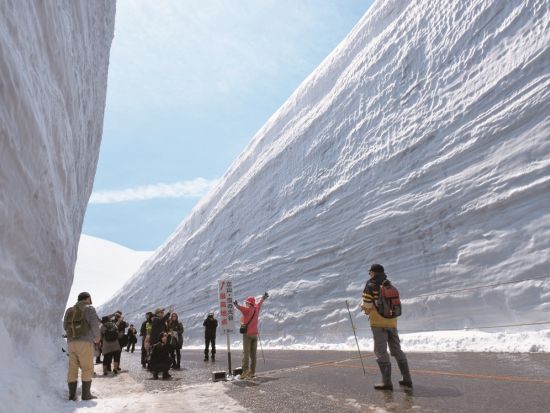 金沢発着日帰りバスツアー 立山雪の大谷ウォークじっくり散策約2時間滞在  圧巻の雪壁を楽しむ冬の絶景ルート お弁当付＜4～6月／1日＞
