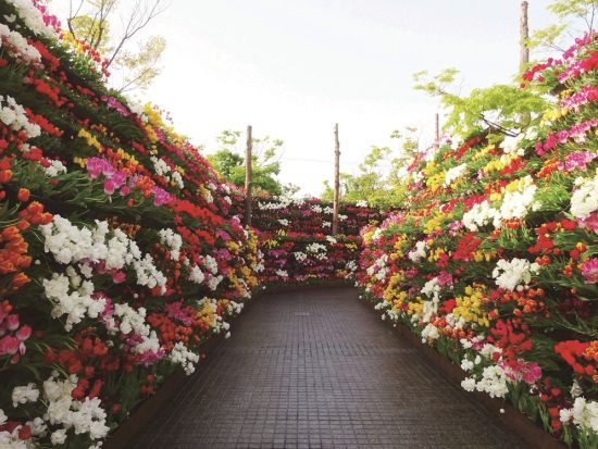 日帰りバスツアー 立山雪の大谷＋となみチューリップフェア 2つの人気スポットを巡る特別ルート 富山の山海満載の昼食付＜GW限定／1日／金沢・小松発着＞