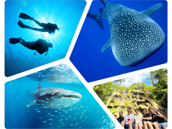 ジンベイザメシュノーケリング+ツマログの滝ツアー　スミロン島シュノーケリング付きプランあり＜日本語ガイド／送迎＞