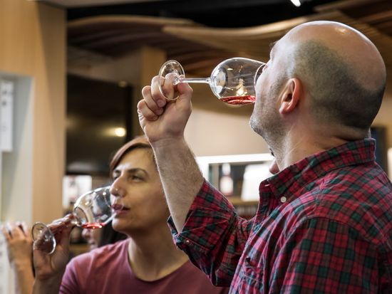 Copia de Copia de Olive Oil Mill & WInery _ Aceite y bodega 18