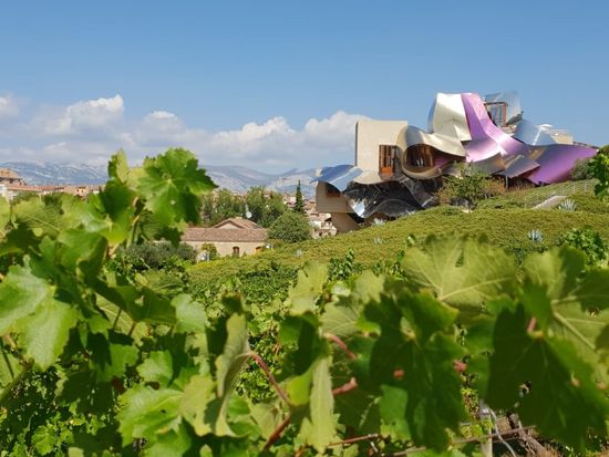 Copia de Copia de Rioja wineries _ Bodegas 12