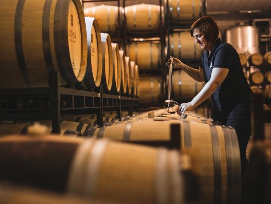 リオハ地方1日ツアー　ワイナリー2軒訪問＋ラグアルディア観光＜英語ガイド／試飲＆軽食付き／サン・セバスチャン発＞