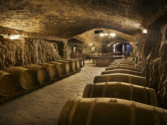 リオハ地方1日ツアー　ワイナリー2軒訪問＋ラグアルディア観光＜英語ガイド／試飲＆軽食付き／サン・セバスチャン発＞