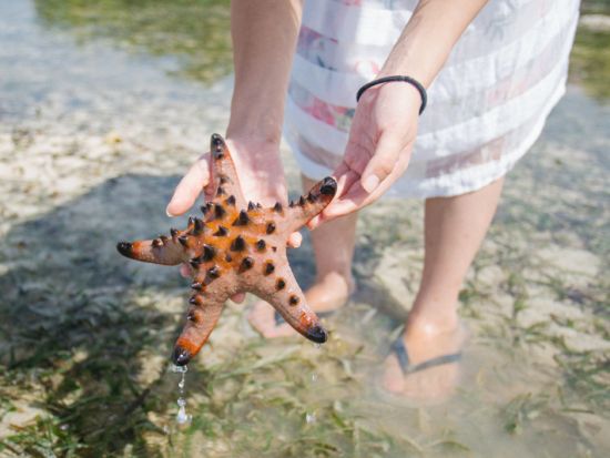 カオハガン島 何もなくて豊かな島 宿泊ツアー 様々なアクティビティや文化体験オプション有り＜カオハガン島内日本語アシストあり／1泊～2泊＞