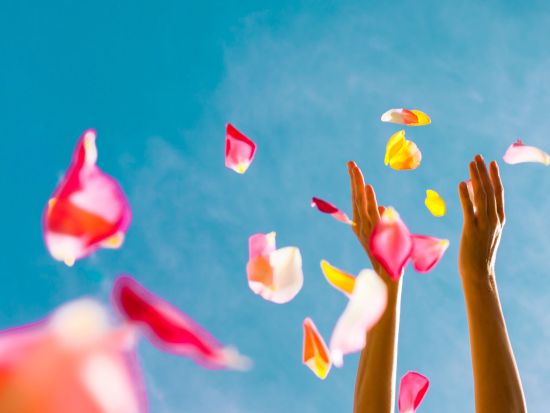 海洋散骨プライベートクルーズ　キャプテンブルース　天国の海®︎で心温まるお見送り＜1～12名／日本語クルー＞