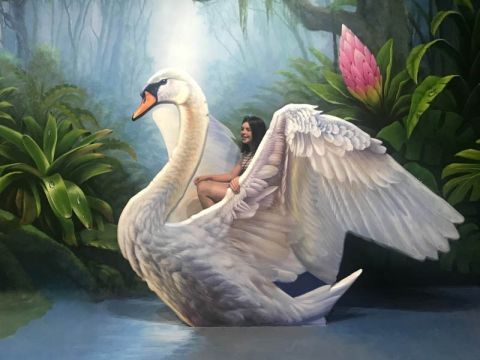アートヴォ メルボルン(ArtVo Melbourne)入場チケット　9つの異なるゾーンで3Dトリックアートを楽しむ！