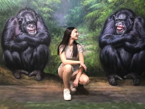 アートヴォ メルボルン(ArtVo Melbourne)入場チケット　9つの異なるゾーンで3Dトリックアートを楽しむ！