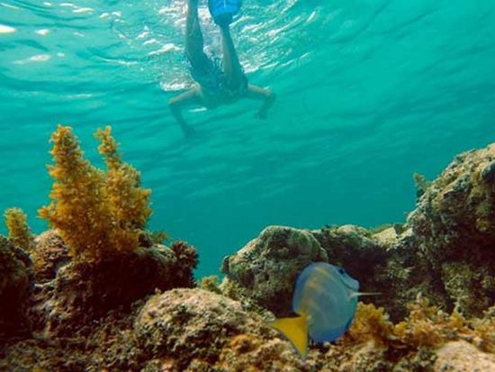 happy-hour-marinarium-punta-cana-now-bb8