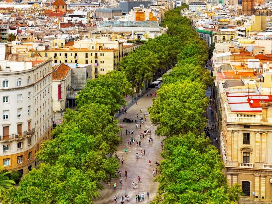 バルセロナ タパスツアー　2軒のバル巡り＆旧市街散策　初めてでも安心！日本語ガイドと一緒に好きなだけ選べるタパスやドリンク＜日本語＞by Mybus