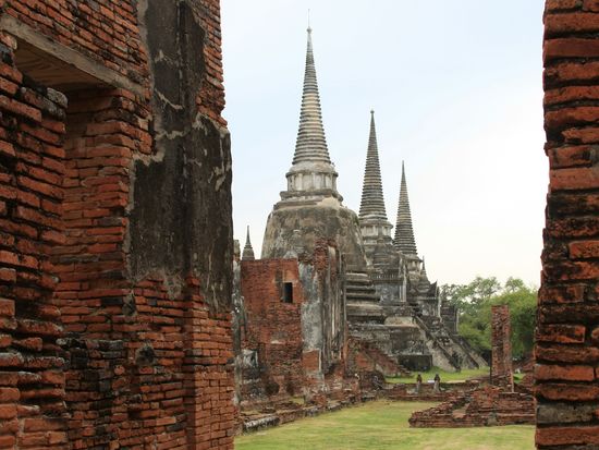 ワットプラシーサンペット