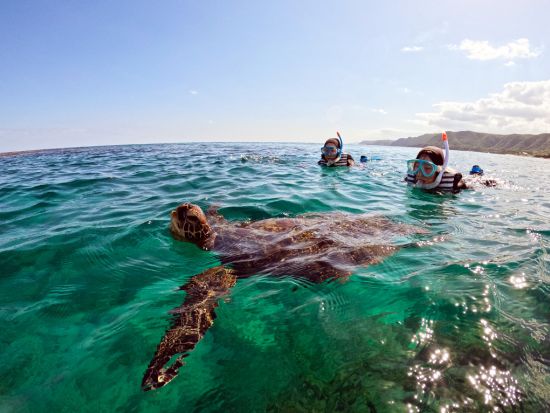 【夏季限定】2ボートシュノーケリング半日ツアー　写真・動画プレゼント！スナック&ドリンク付き＜1名～／7月中旬～11月／約3時間／笠利町＞by OCEANZ