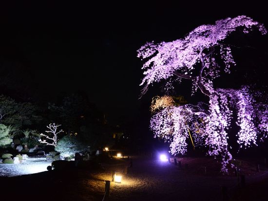 20220308002956_1359087165_3077_0