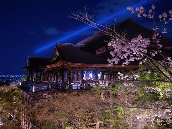 20220303070847_1797600600_3077_0