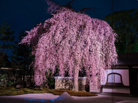 20220301070747_1440460006_3077_0