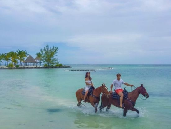 乗馬体験　熱帯林やビーチ沿いを散歩＆馬と一緒に海水浴＜英語ガイド／プンタカナ市内発着＞